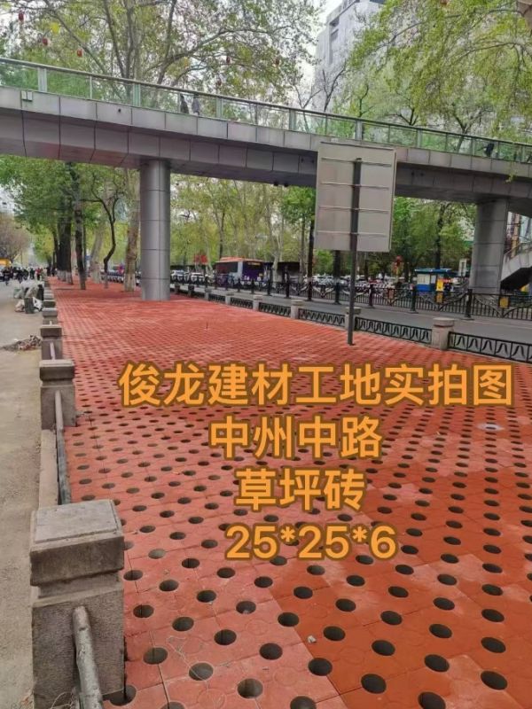 洛陽(yáng)中州中路草坪磚