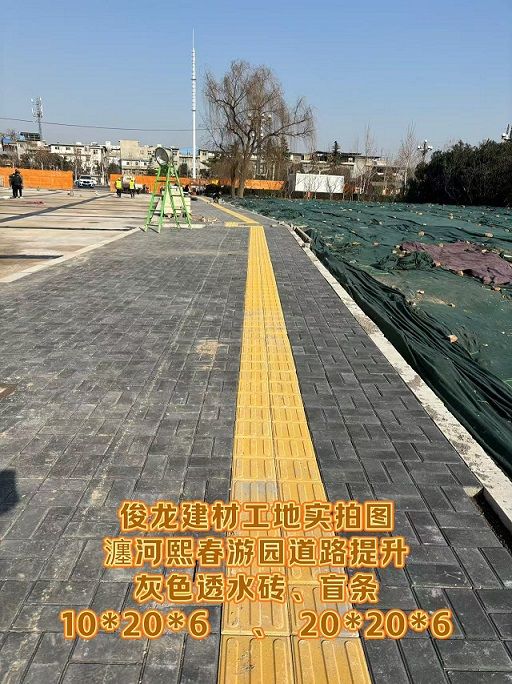 瀍河熙春游園道路提升 （灰色透水磚、盲條）